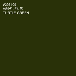 #293109 - Turtle Green Color Image